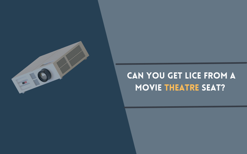 Lice from a Movie Theatre Seat