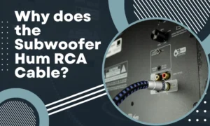 subwoofer hum rca cable