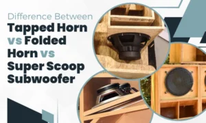 tapped horn vs folded horn vs super scoop